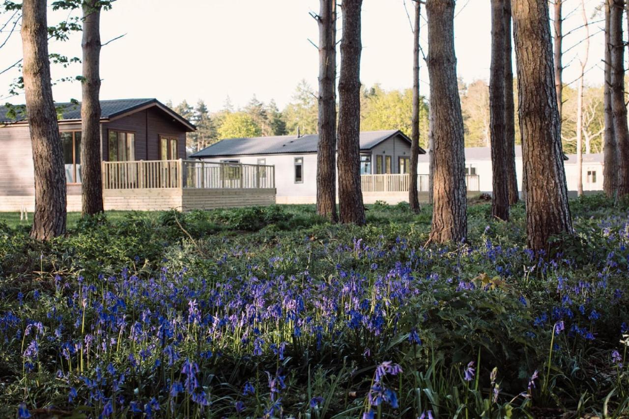 Hollicarrs - Wildflower Lodge ยอร์ค ภายนอก รูปภาพ