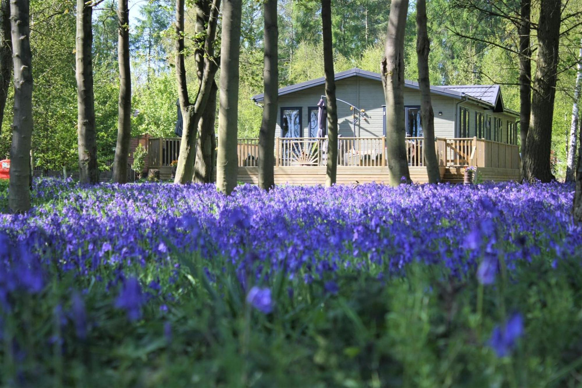 Hollicarrs - Wildflower Lodge ยอร์ค ภายนอก รูปภาพ