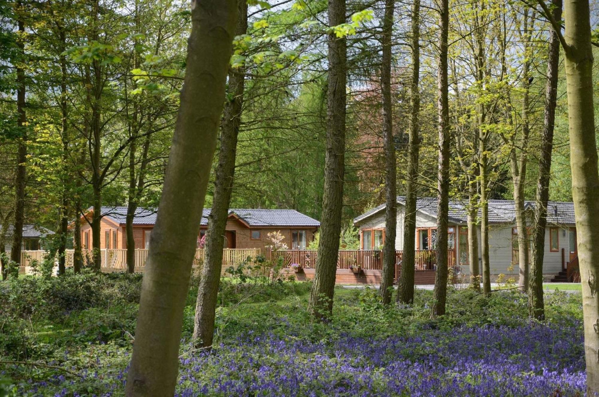 Hollicarrs - Wildflower Lodge ยอร์ค ภายนอก รูปภาพ